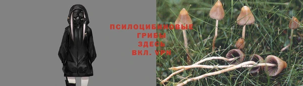 гидра Протвино