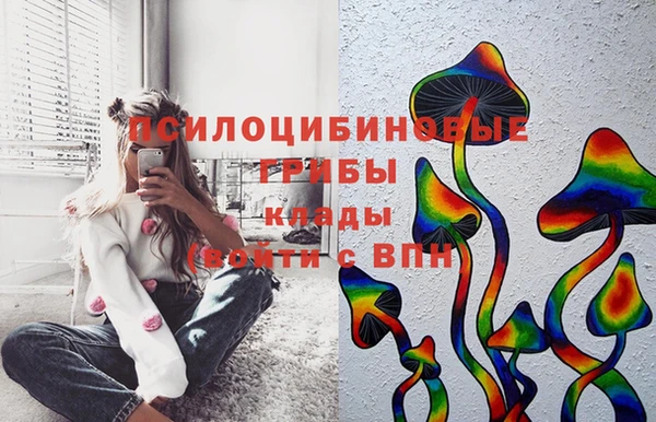 сатива Абаза