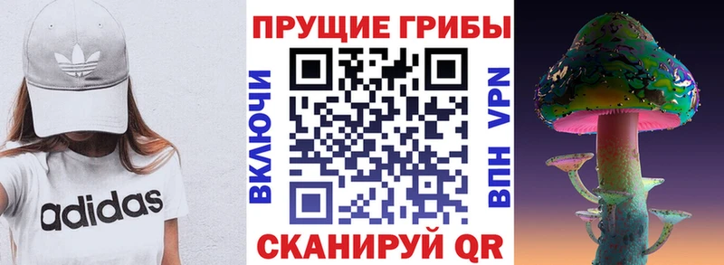 Псилоцибиновые грибы Magic Shrooms продажа наркотиков Галич