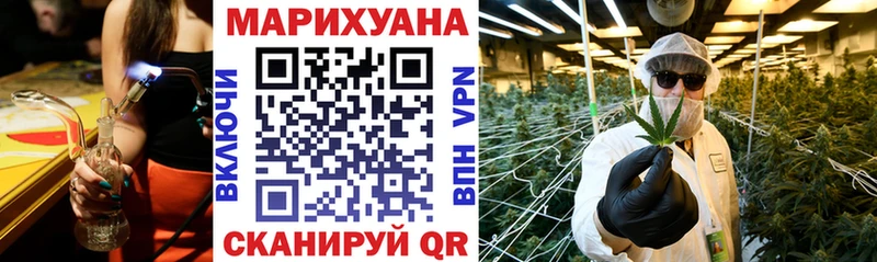 наркотики  Галич  Марихуана индика 